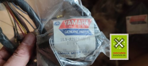 IMG_20230822_190832